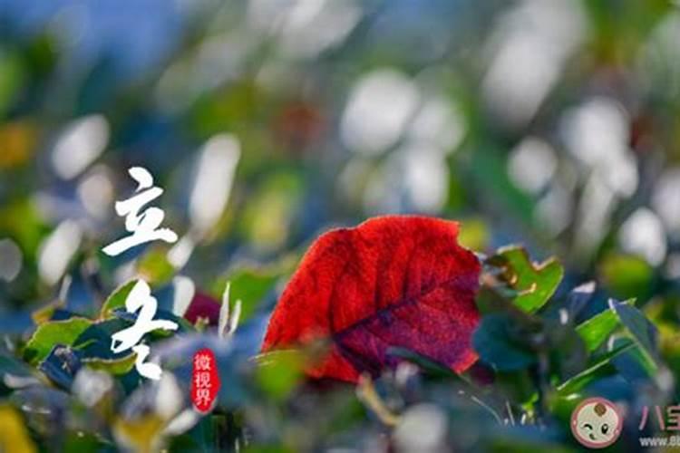 冬至与夏至的关系