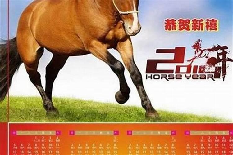 属马的运程 属马人的流年运程