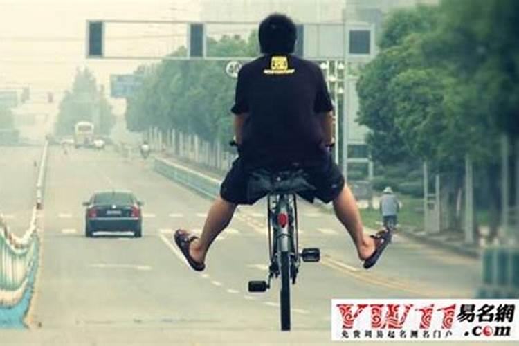 老鼠爬到床上什么预兆 老鼠爬到床上是什么意思