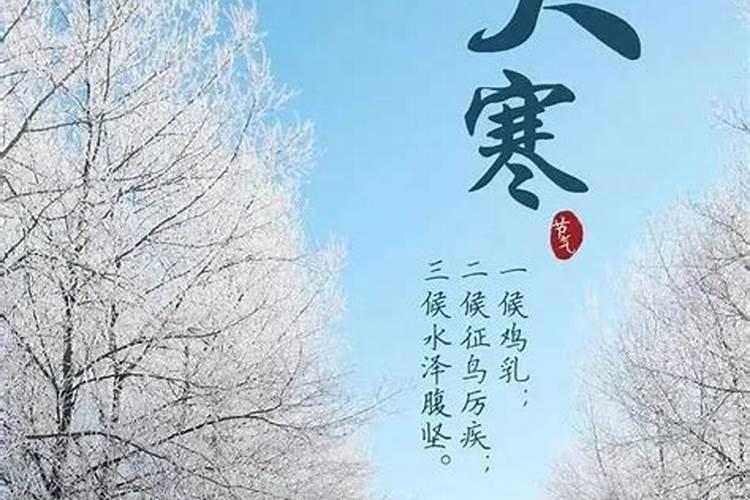 生肖属狗大寒节气出生是什么命大寒后是什么节气