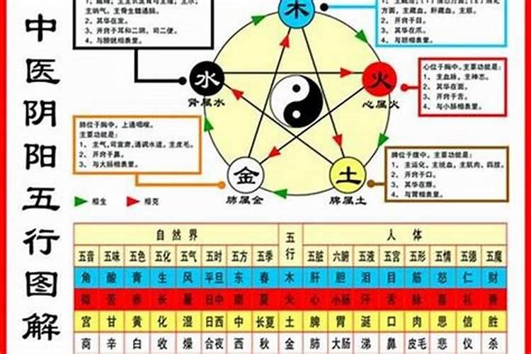 如何看五行属于什么命
