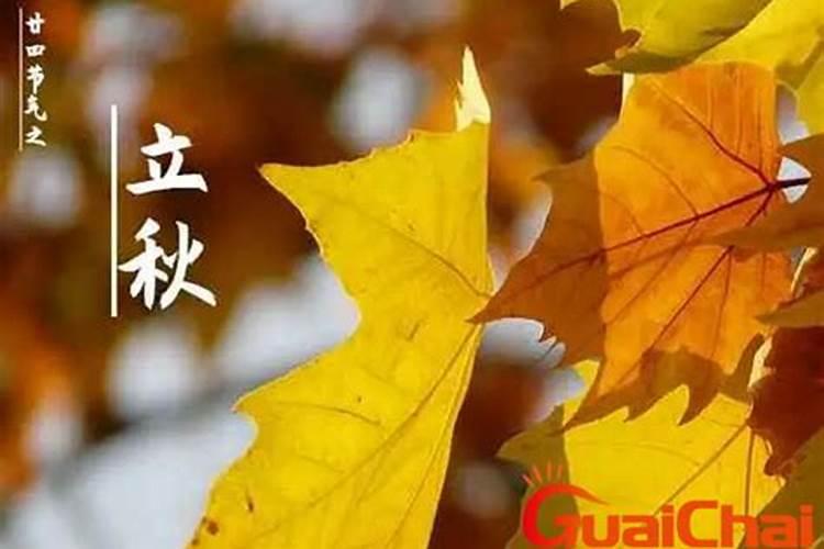 今年是早立秋还是晚立秋2024