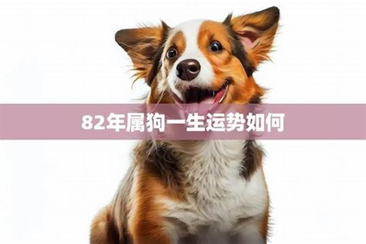 羊人的婚姻与命运如何