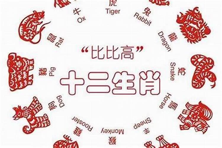 属龙时辰,十二时辰出生的属龙人命理