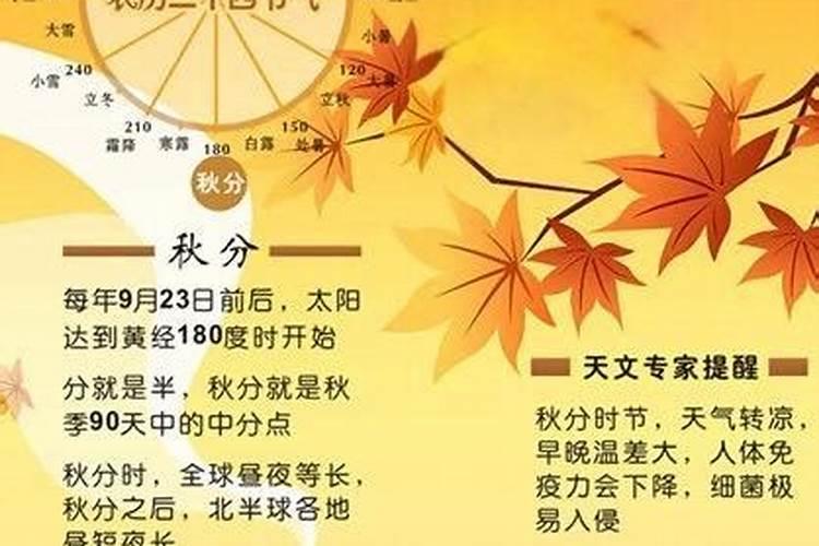 秋分出生的孩子好吗