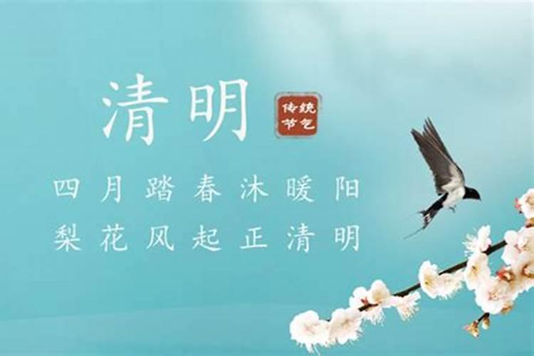 1995年农历八月十五属猪是什么命？