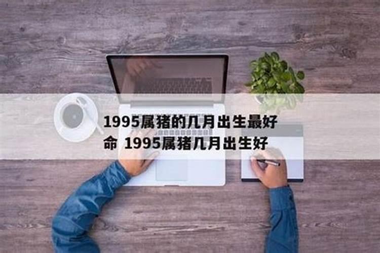 95年的猪是什么命 五行属什么