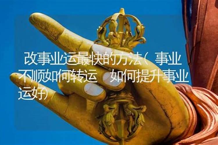 事业不顺怎么转转运