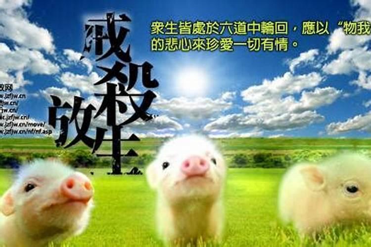 俗语说打一个喷嚏,二个喷嚏,三个喷嚏,分别代表着一些什么意思呀