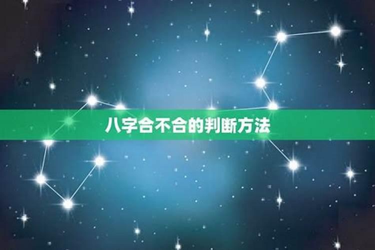谁能给我弦子的照片以及资料？