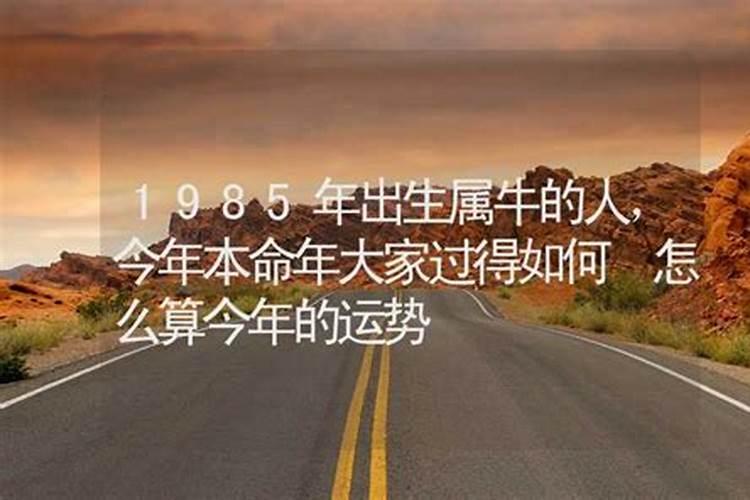 冬至的来历和风俗 南北方不同的传统风俗