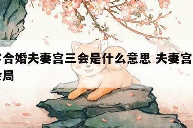 八字合婚夫妻宫三会 日主坐印星的男女命婚姻幸福？