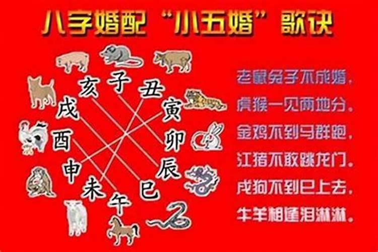 属虎和十二生肖婚配表 生肖属虎的属相婚配表