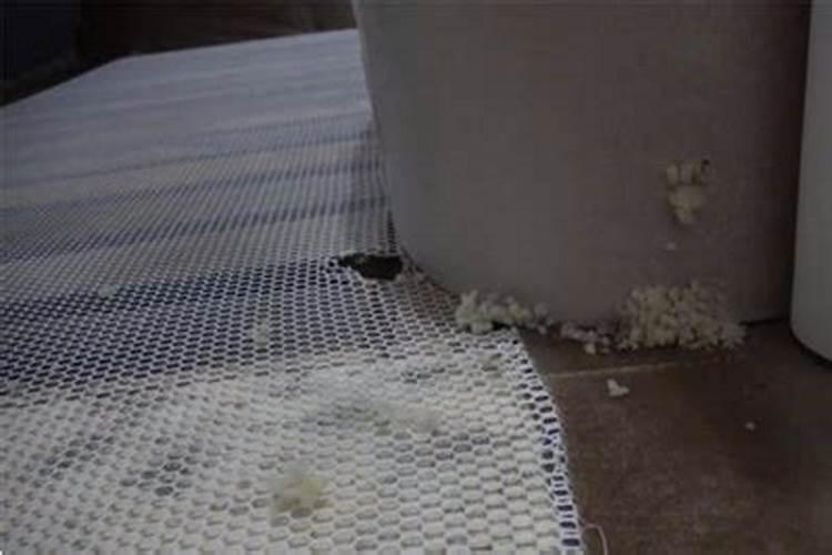 生肖猴未来十年家破人亡是怎么一回事