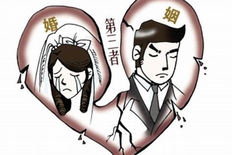 生肖兔1951年2025年运势如何 生肖兔1951年2025年全年运势
