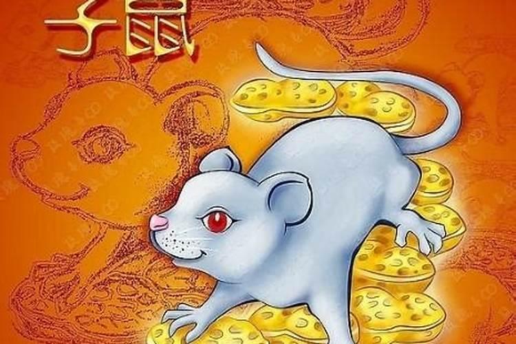 九六年属鼠的是什么命