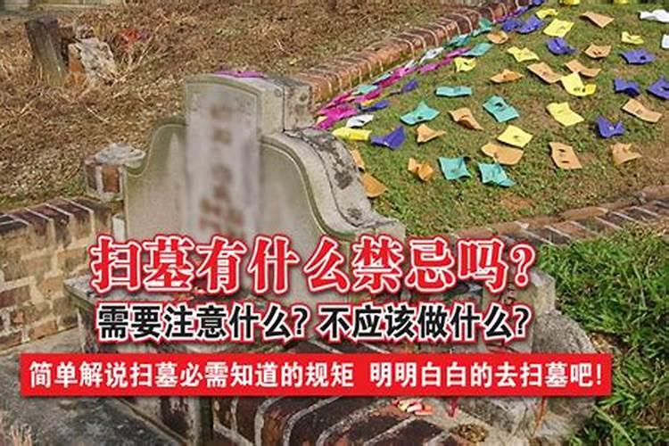 祭祖大典仪式流程详细解读