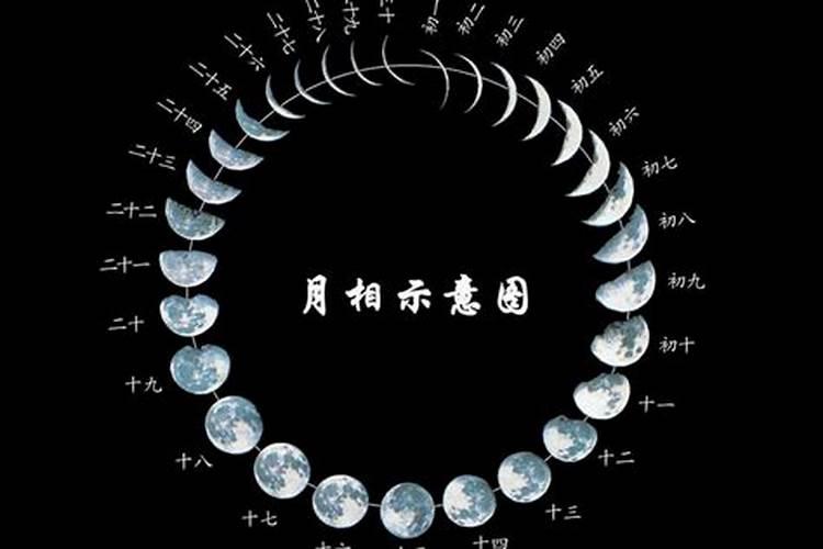 农历九月初九是阳历多少号