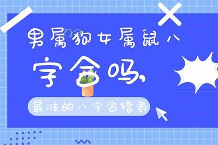 1982年10月 属狗是什么？