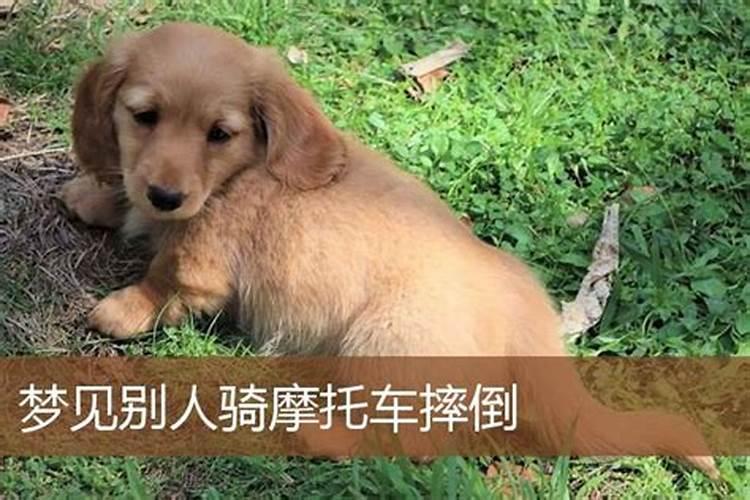 梦见骑摩托车摔倒
