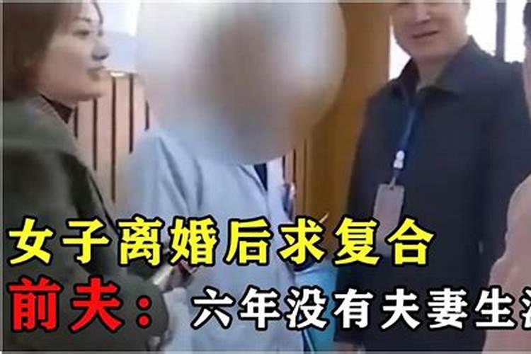 梦见猫抓到老鼠了