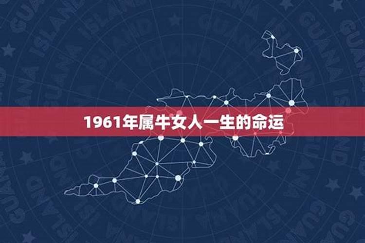 61年属牛人三大坎 1961年属牛一生三大劫难是什么