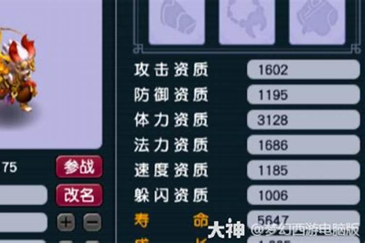 算命说的童子是什么意思