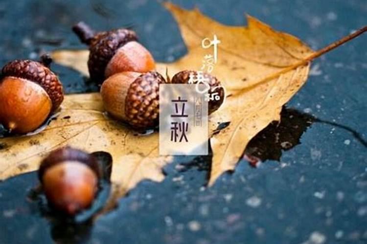 立秋的风俗吃什么