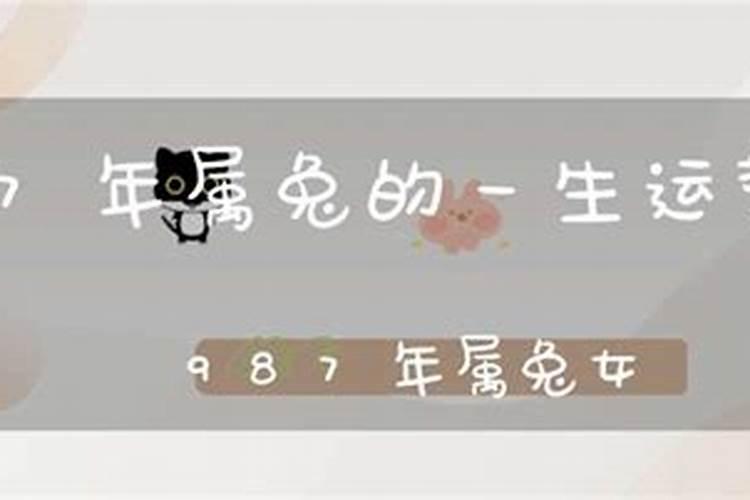 冬至的由来和风俗简介