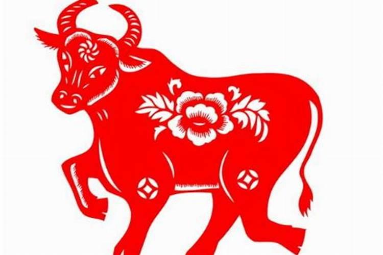 85年属牛的运势如何,1985年属牛的一生命运