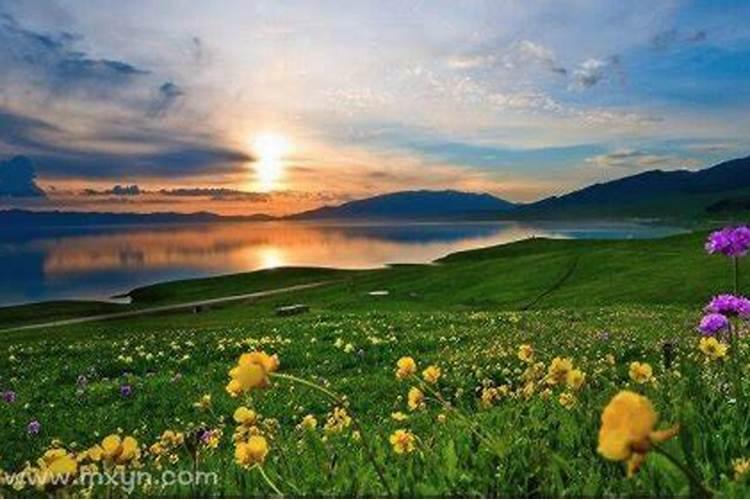 立夏应季水果