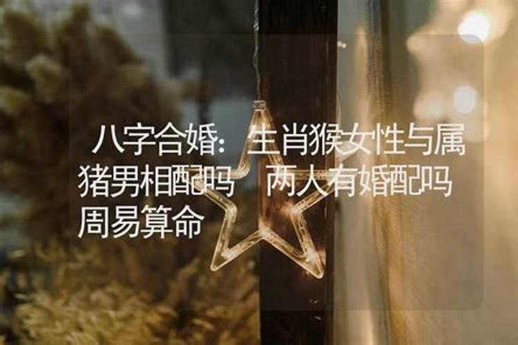 梦见离了婚的老婆又回来了的预兆