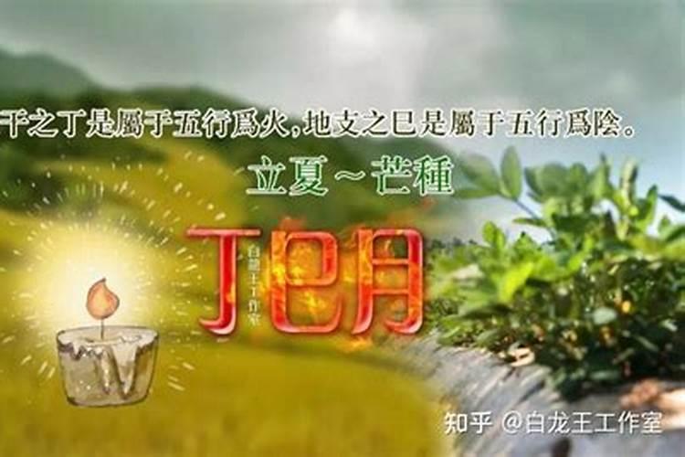 合婚 丁巳日柱和什么干支配比较好？