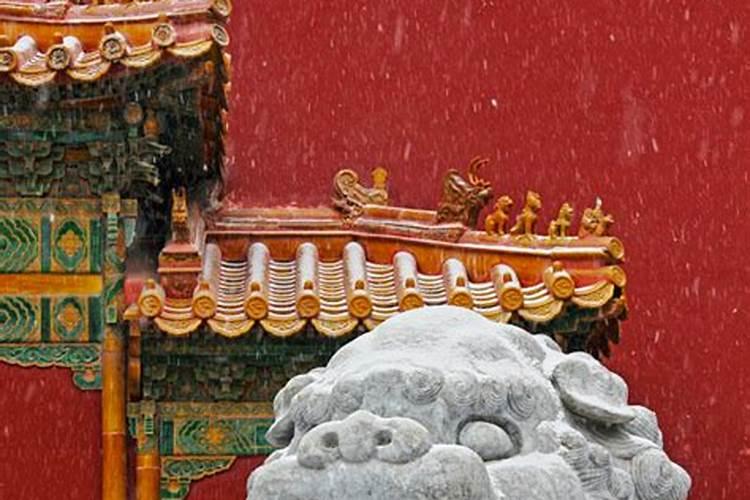 征集有关猪的文化、典故、习俗、汉字的文章。希望详细点。