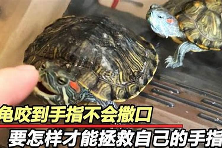610号是黄道吉日吗