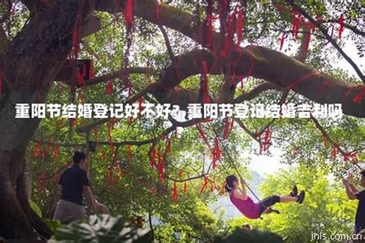 2025年10月29日适合结婚吗