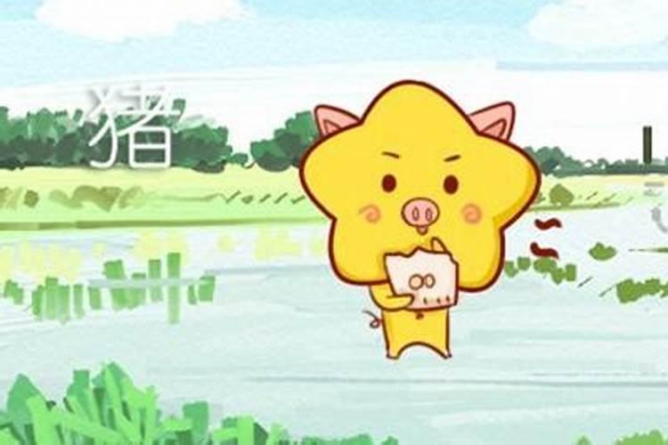 冬至的来历和风俗 南北方不同的传统风俗