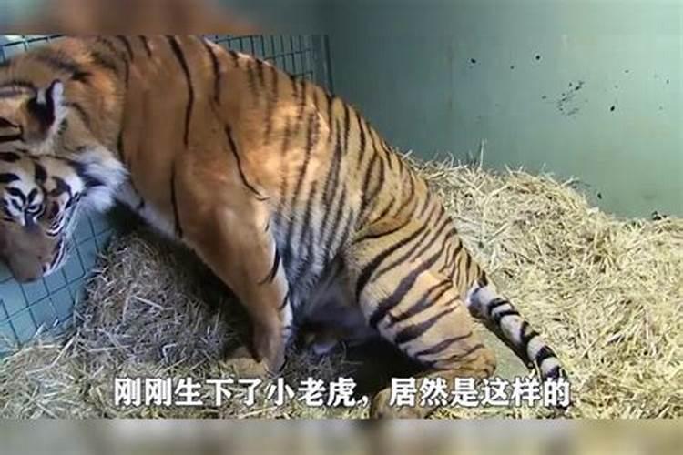 寺院做法事是什么意思？