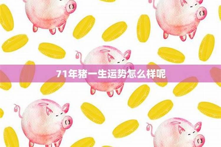 71年的猪一生的运势和财运 一生有三劫？