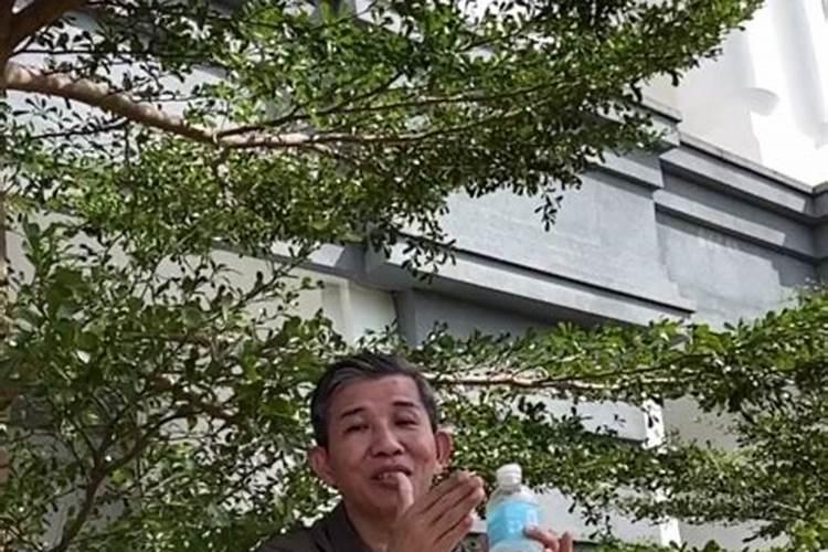 84年鼠哪些年犯太岁