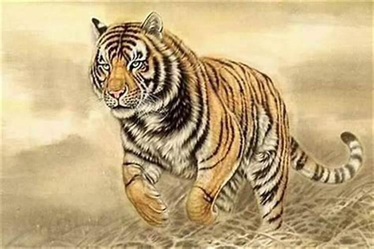 看八字合了7个字说明什么？