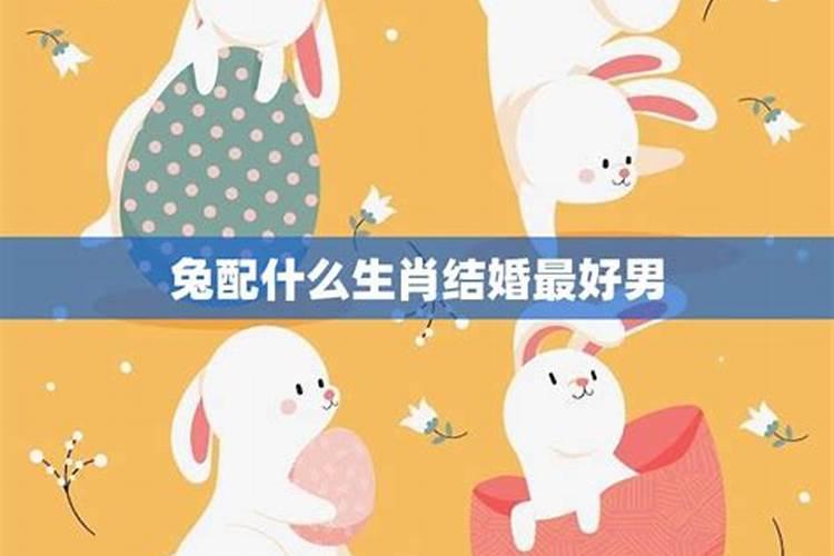 鼠与兔相配的属相最好,属兔和属鼠相配吗