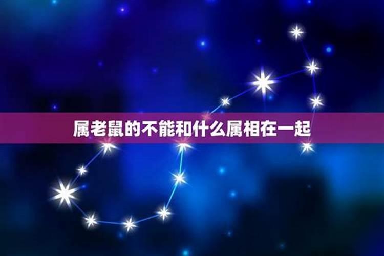鼠和龙在一起对谁不利 鼠龙相配吗？