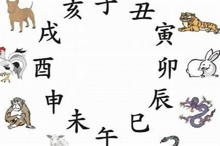 清明上坟可以各上各的吗