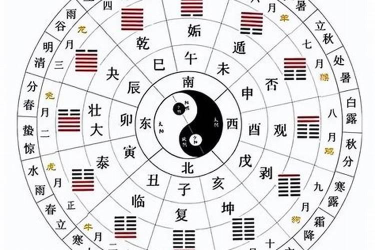 梦见水龙是什么意思 梦见水龙代表什么