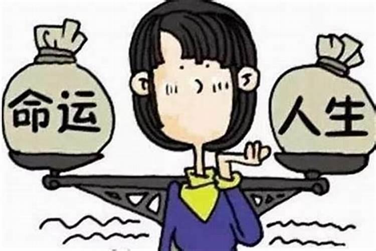 中秋节过完了没卖完的月饼都去哪里呢？