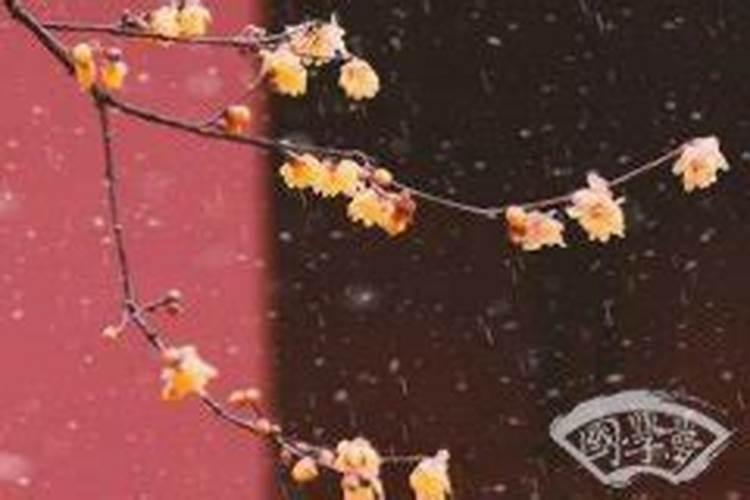 罗娅芯 五行八卦 和生辰八字看看这个名字怎么样 父亲罗 母亲杨 小孩201...