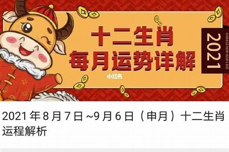 72年鼠女今年每月运程