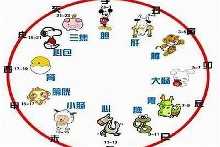 1996年农历10月26下午5点半出生的是什么命
