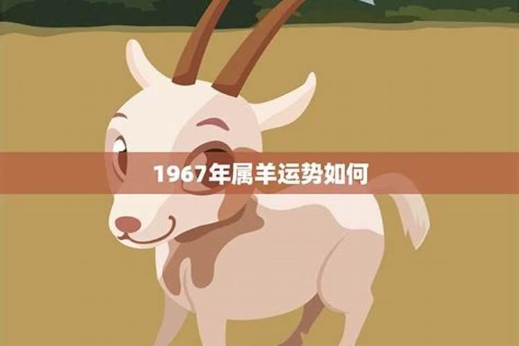 什么是本命卦